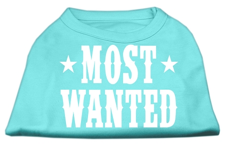 Most Wanted Screen Print Shirt Aqua XL